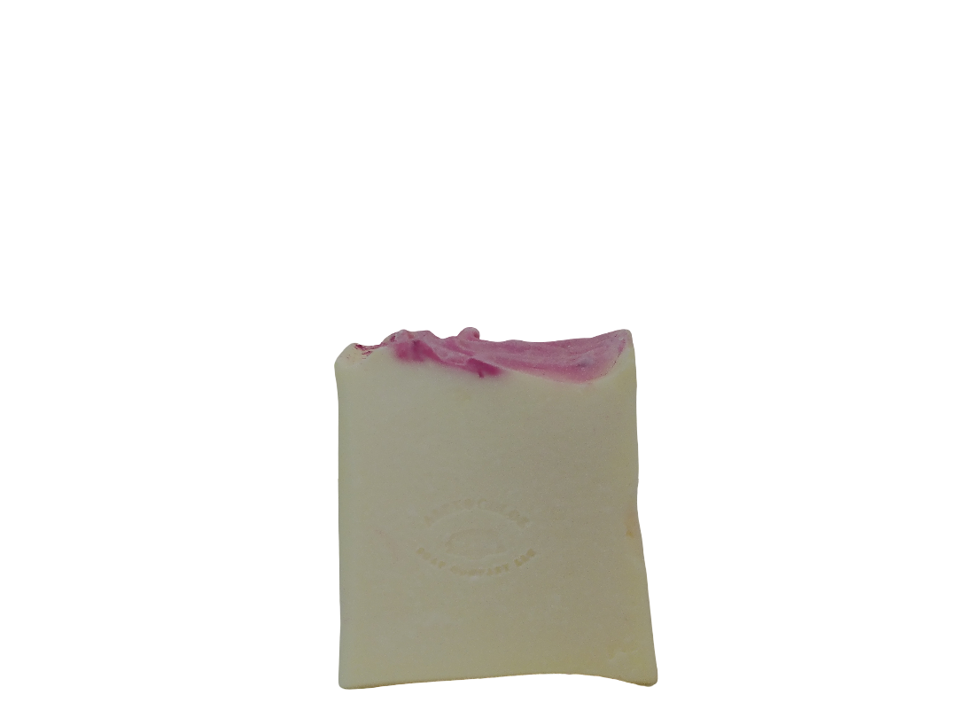 Fruit Slices 4” White Square Soap
