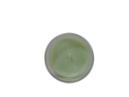 Mcintosh Apple 17 oz Candle